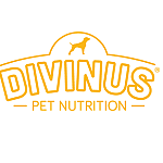 Divinus 