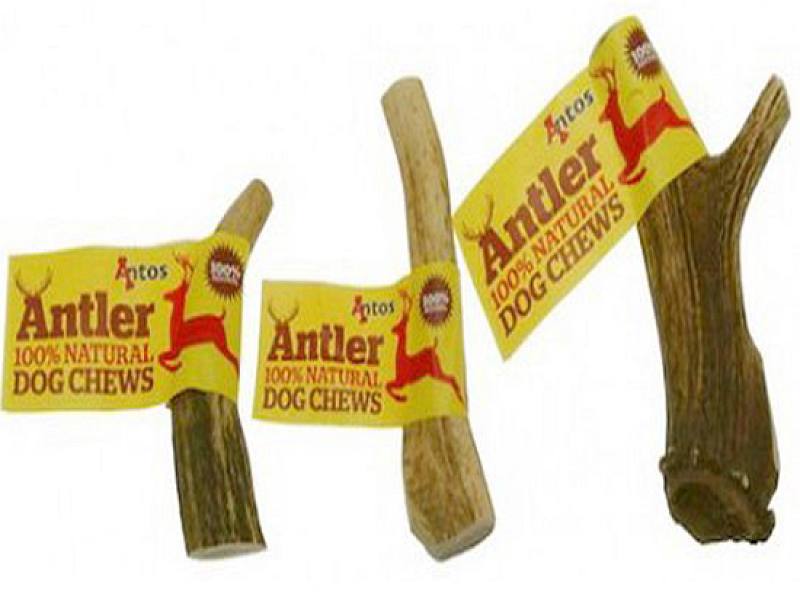 Κέρατο Ελαφιού  Antler Dog Chews