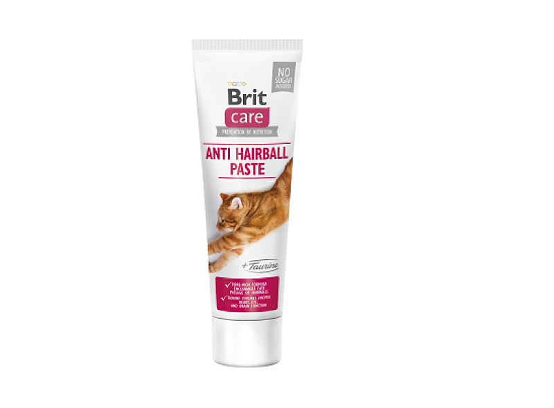Cat Anti Hairball Paste