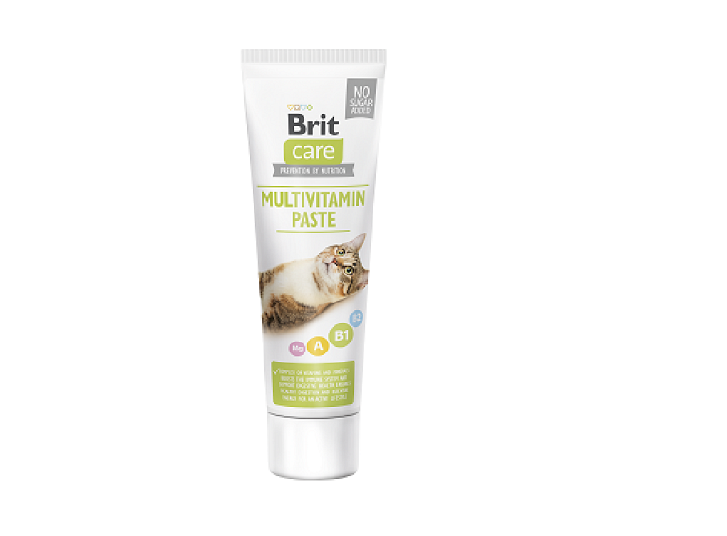 Cat Multivitamin Paste