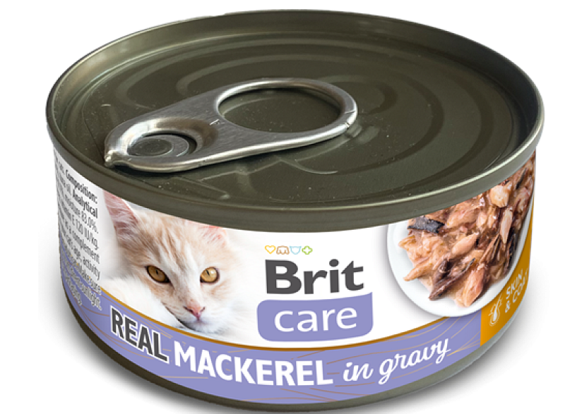  Cat Cans