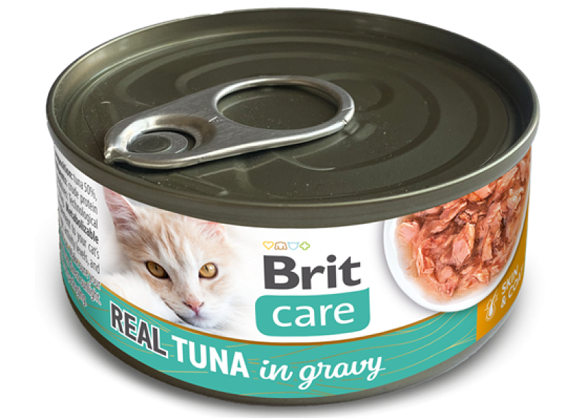  Cat Cans