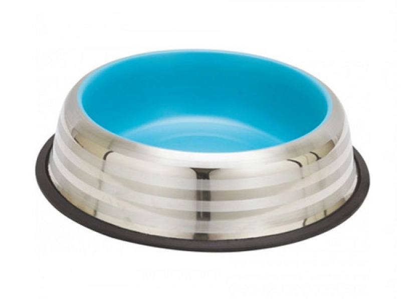 Χρωματιστό bowl με αντιολισθητική βάση.