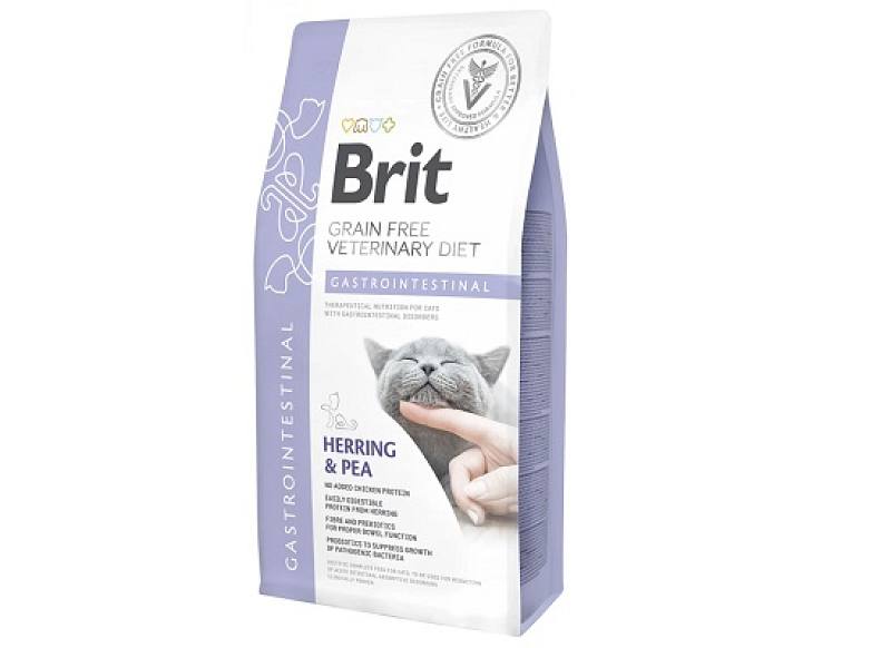 Cat Gastrointestinal 