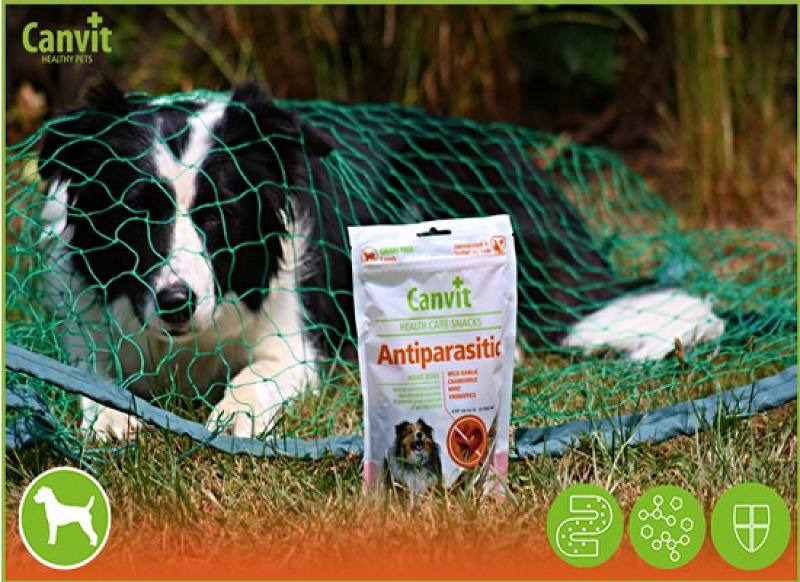 Antiparasitic snack