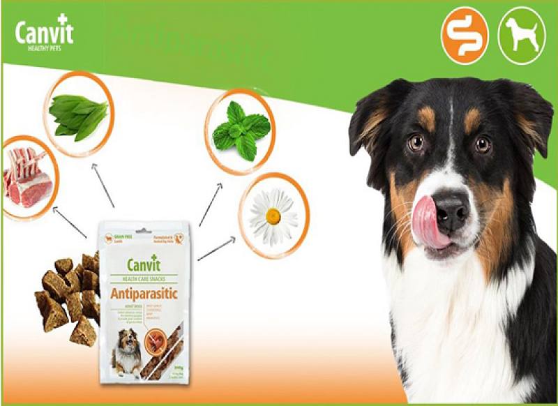Antiparasitic snack