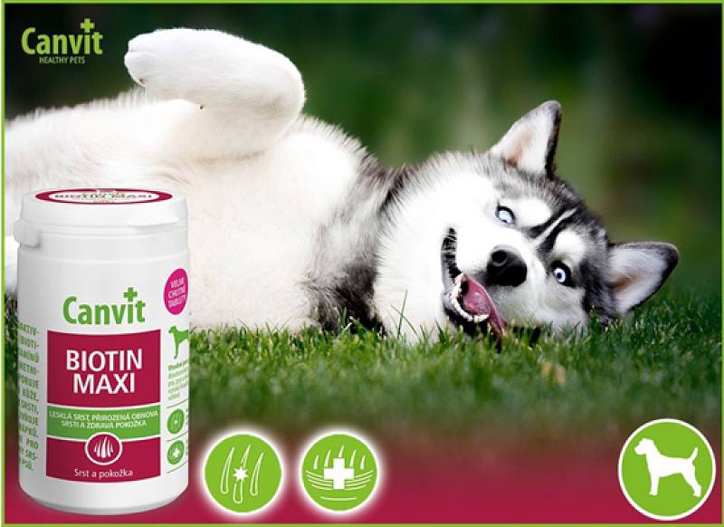 Biotin Maxi άνω των 25kg
