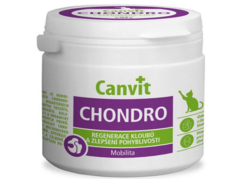 CAT CHONDRO.