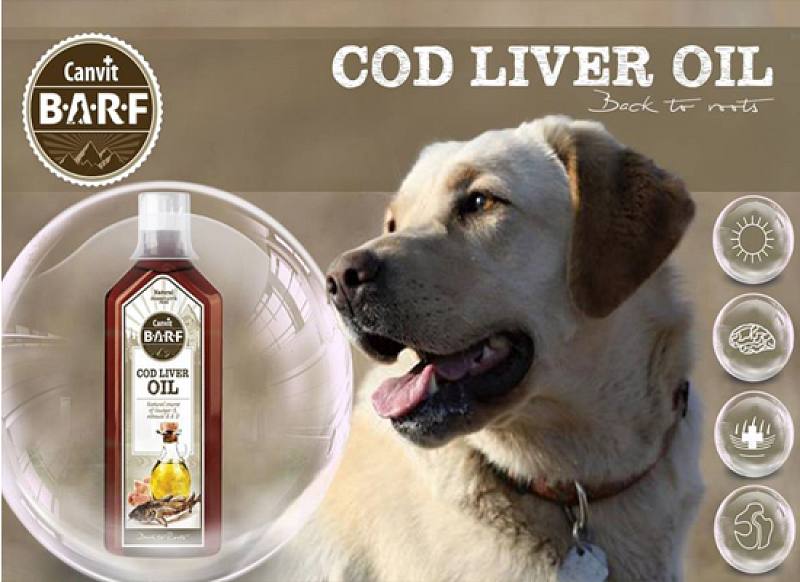 COD LIVER OIL