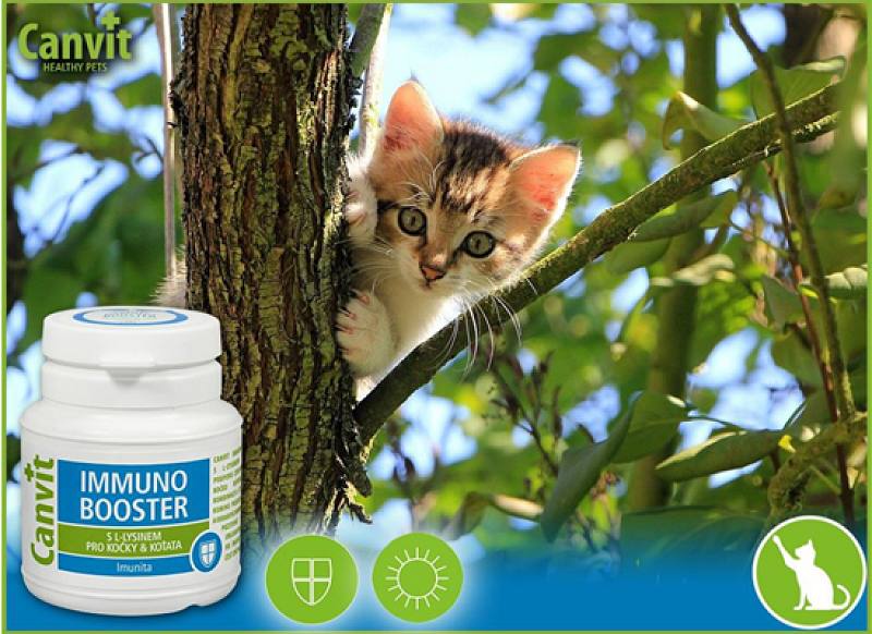 Immuno Booster