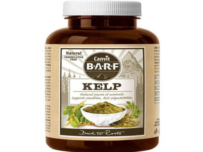 Kelp