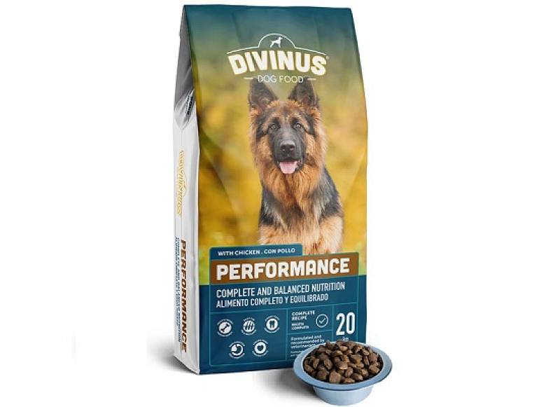 Performance ενέργειας 20kg