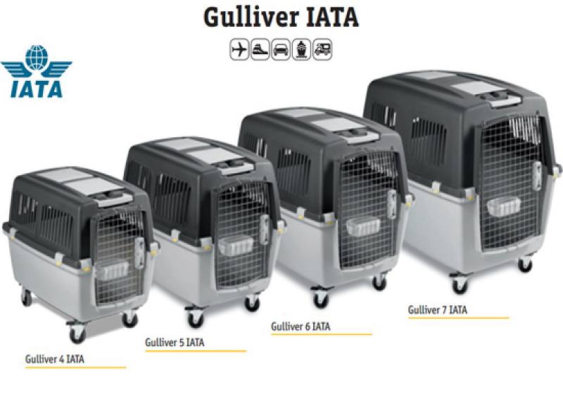 IATA. 
