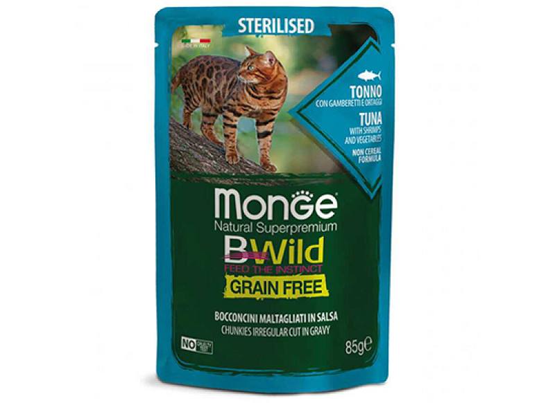 cat Bwild