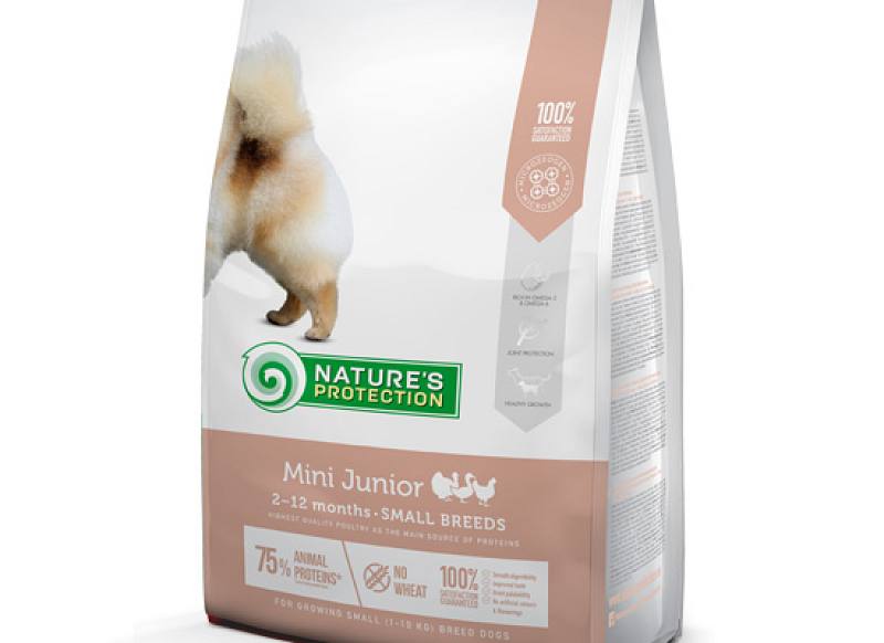 Junior Mini