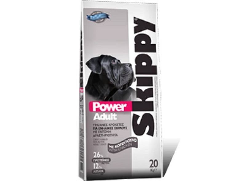  Power Adult
