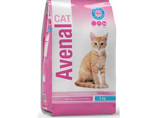CAT CARNE
