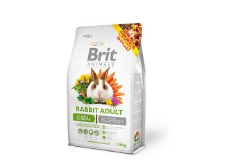 RABBIT ADULT