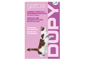 adult cat dupy