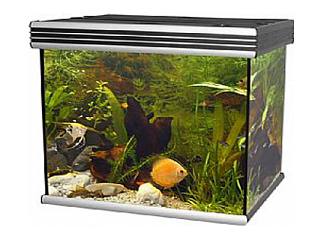 Ενυδρείο POSEIDON ALUMINIUM 165L