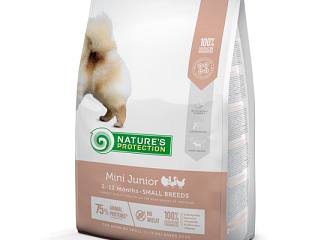 Junior Mini