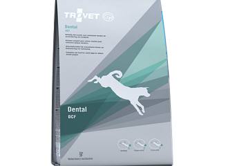 Dental OCF