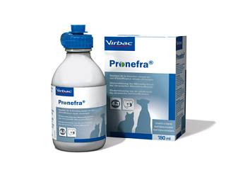 Pronefra