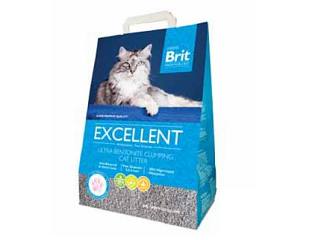 Cat Excellent