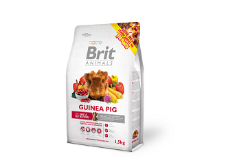 GUINEA PIG