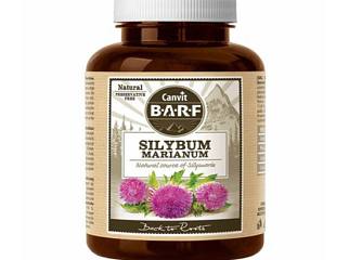 Silybum Marianum