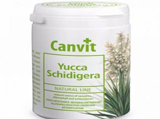 Yucca Schidigera