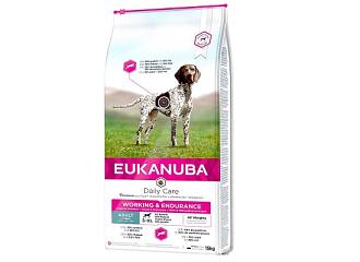 Daily Care Working & Endurance Adult Dog