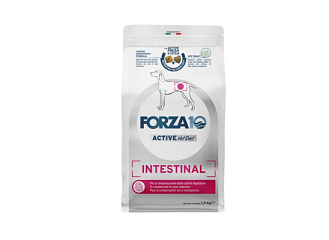 Dog Intestinal