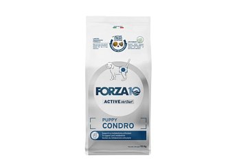 Puppy Condro 
