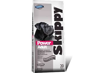  Power Adult