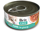  Cat Cans