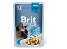 Premium Cat Gravy Pouches 