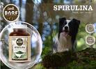 Spirulina