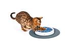 Design Senses Scratch Pad