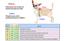  Red pullover