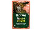 cat Bwild